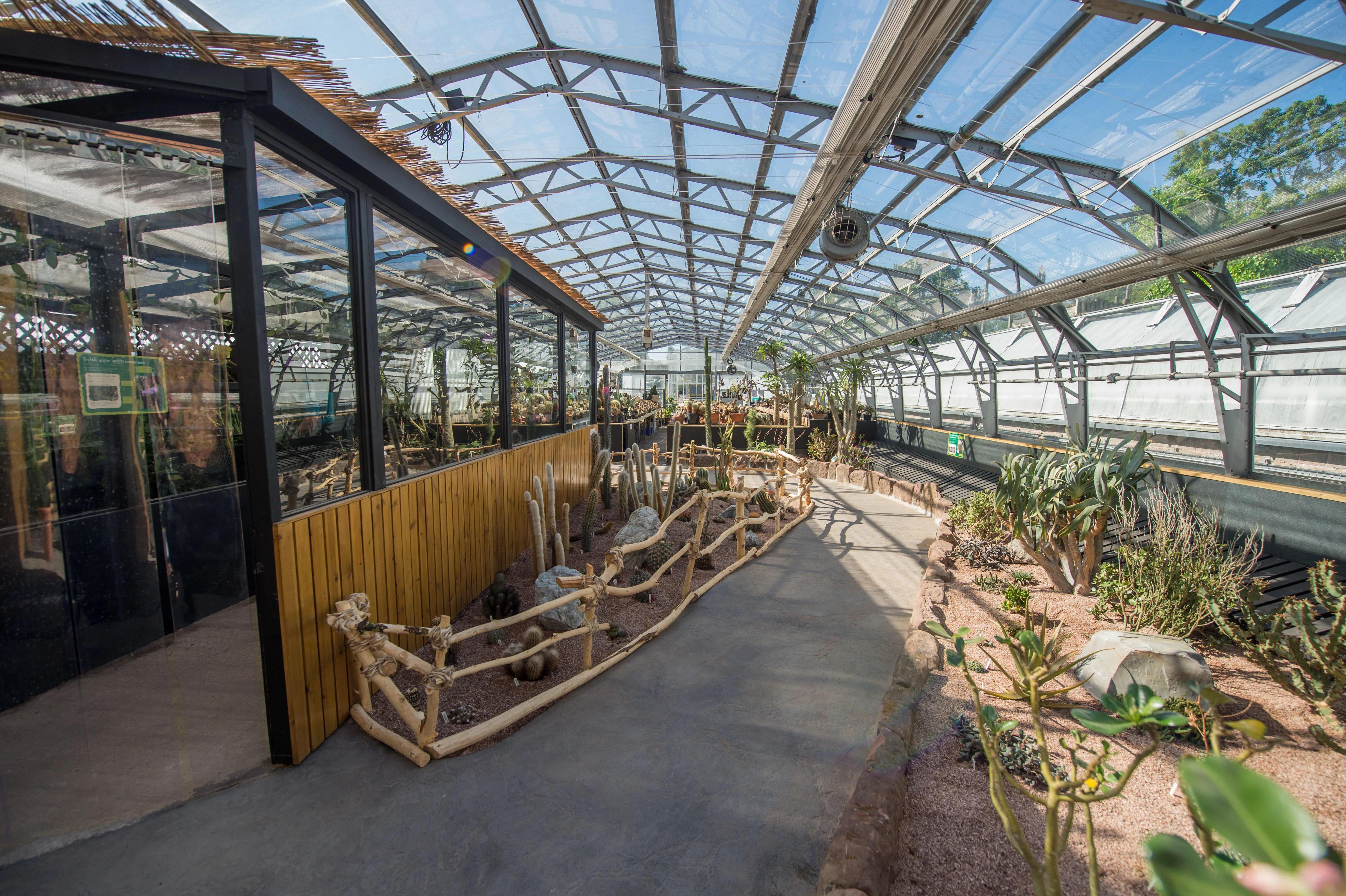 plant-project-11