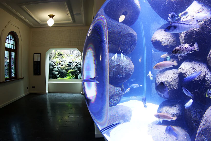 Ausgang Aquarium
