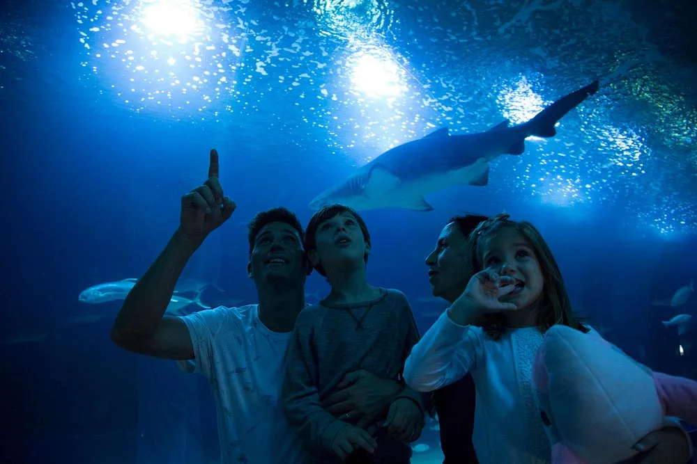 oceanografic
