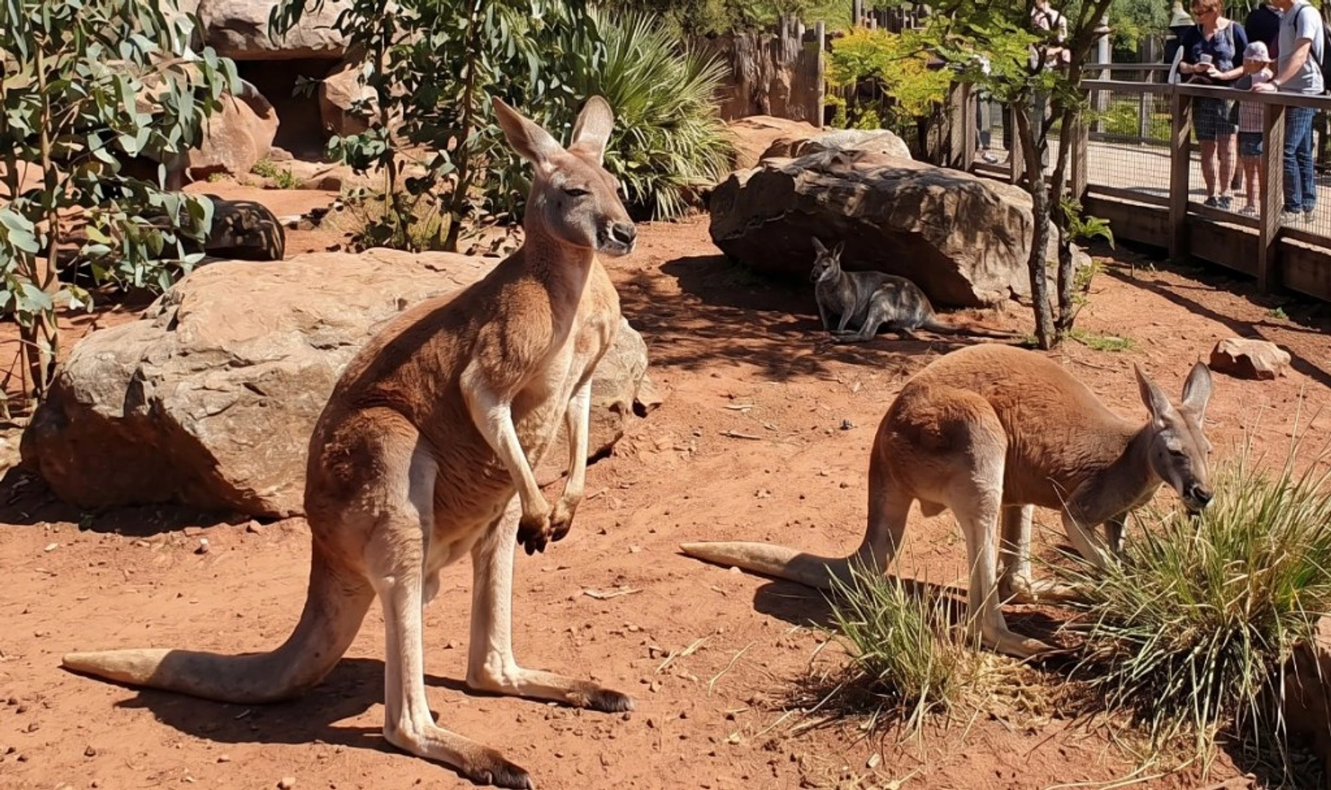 Pairi Daiza