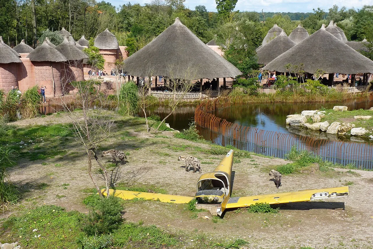 Pairi Daiza 2014 African world